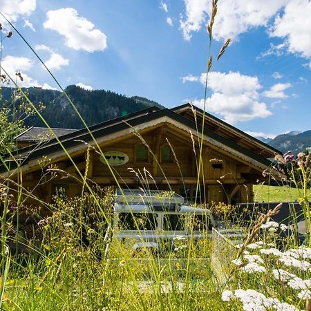 Chalet Carnauba Châtel Extérieur photo