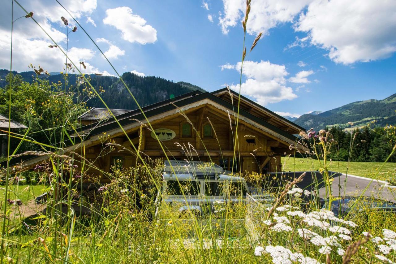 Chalet Carnauba Châtel Extérieur photo